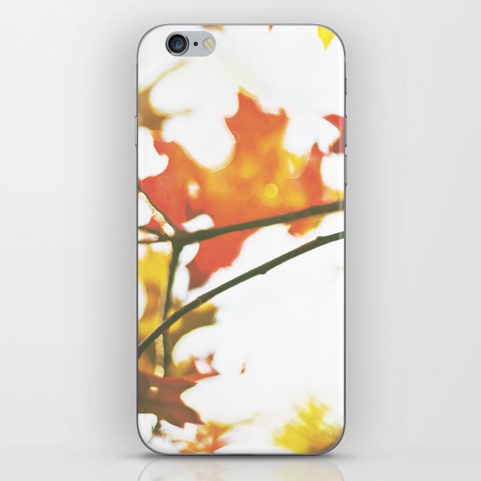 Colors of Autumn iPhone Skin