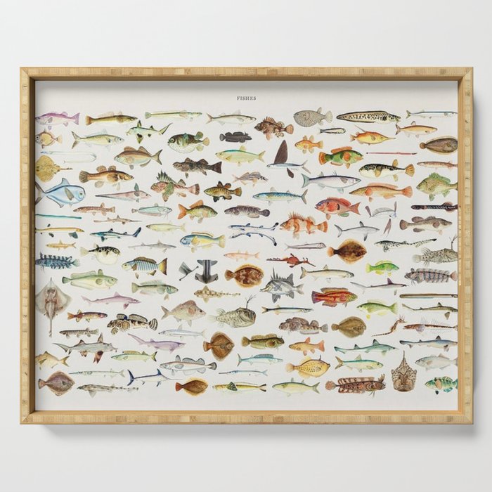 Illustrated Colorful Southern Pacific Exotic Game Fish Identification Chart Serving Tray