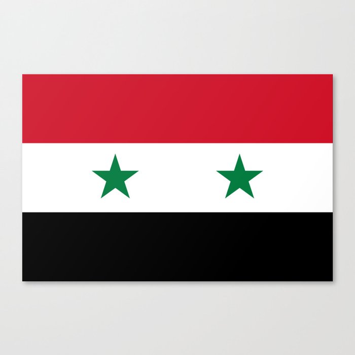 National flag of Syria Canvas Print