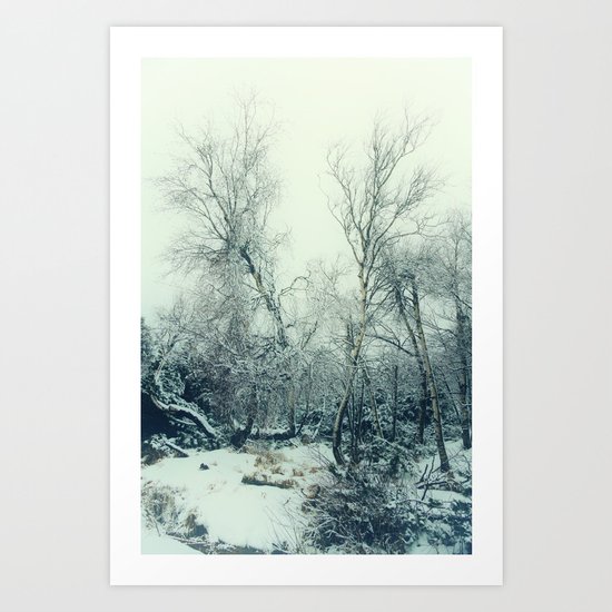 snow birch Art Print