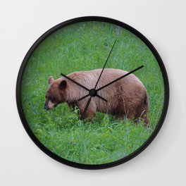 Cinnamon bear in Jasper National Park | Canada Wall Clock