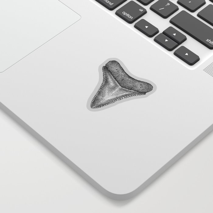 Shark Tooth Sticker