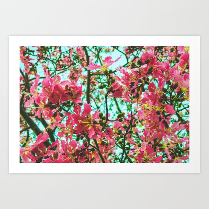 Pink Tiger Lilly on Aqua Sky Art Print