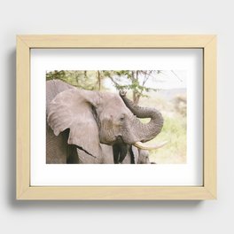 KENYA 10 Recessed Framed Print