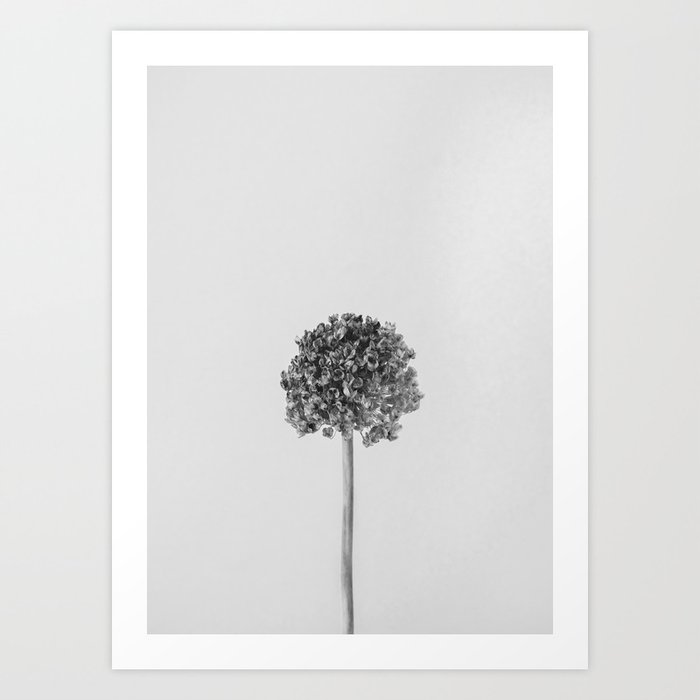 Minimal Black & White Dry Flower Art Print