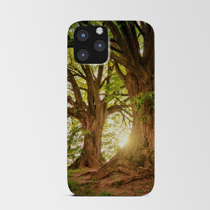 Forest Tree Nature Photo iPhone Card Case