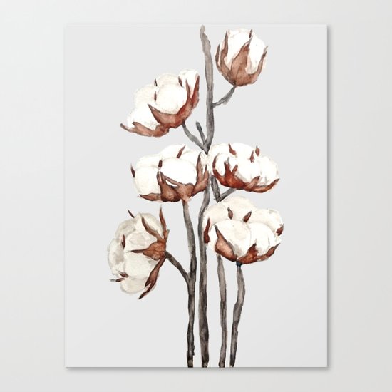 cotton Canvas Print