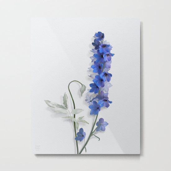 Consolida, watercolors Metal Print