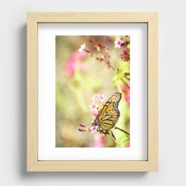 Untitled Monarch Recessed Framed Print