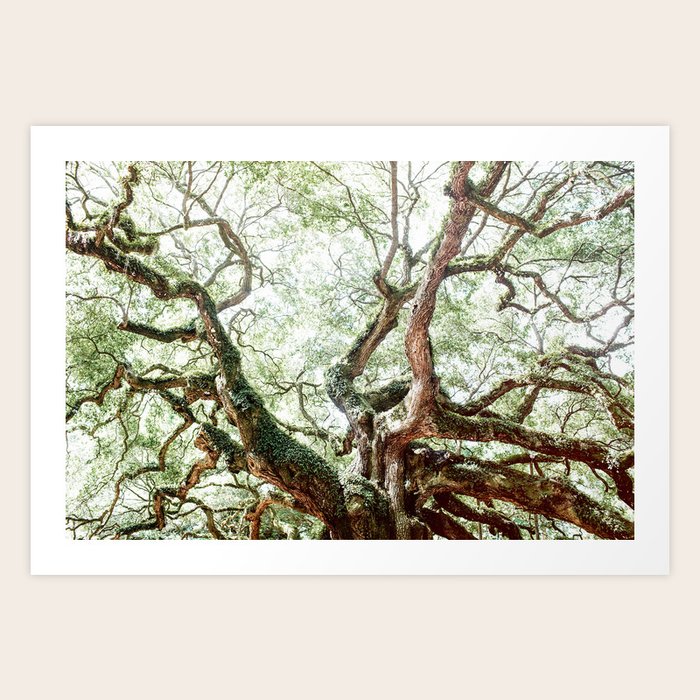Angel Oak Tree Art Print by Eastlyn & Joshua Society6