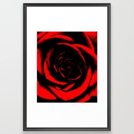 Bright Red Rose : Pretty Flowers Framed Art Print