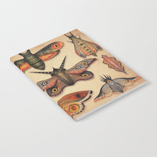 The Collection Notebook