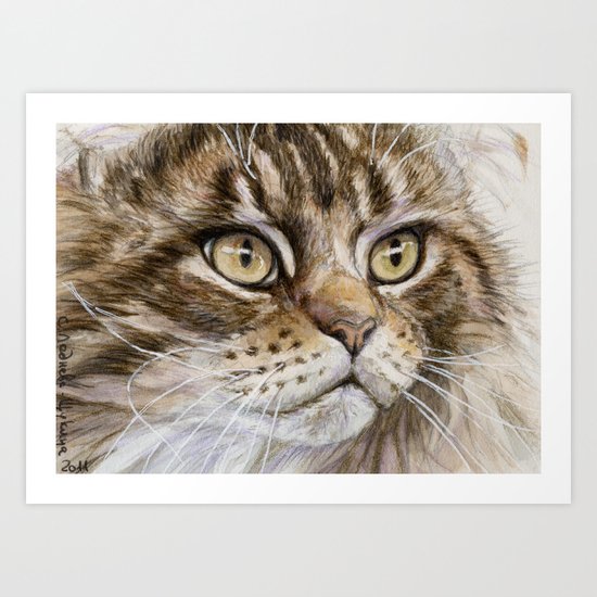 Maine Coon Art Print