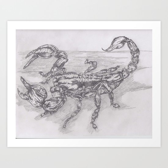emperor scorpion Art Print