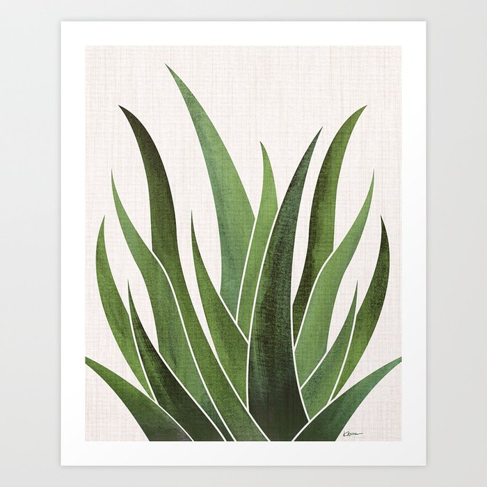 Desert Agave Succulent Illustration Art Print