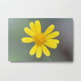 Yellow Flower Metal Print