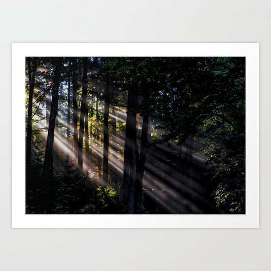 Pathless Woods #spring #forest Art Print