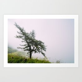 A lonely tree Art Print