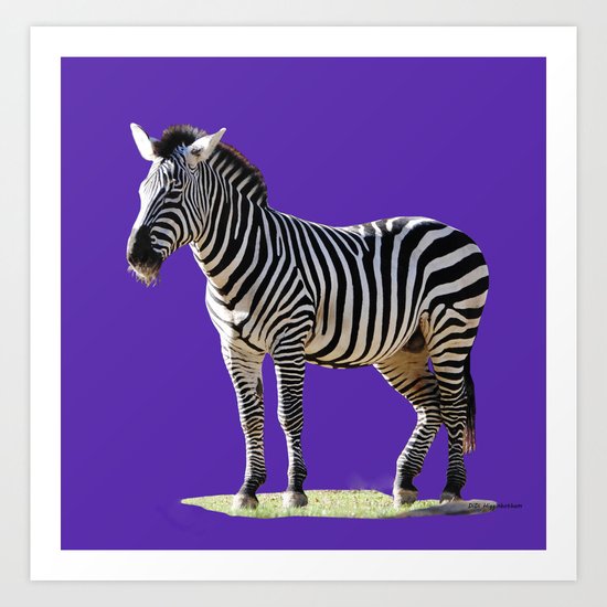 Designer Zebra Art Print