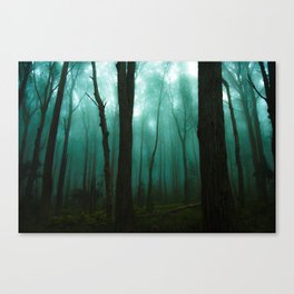 Scary Forest Canvas Print