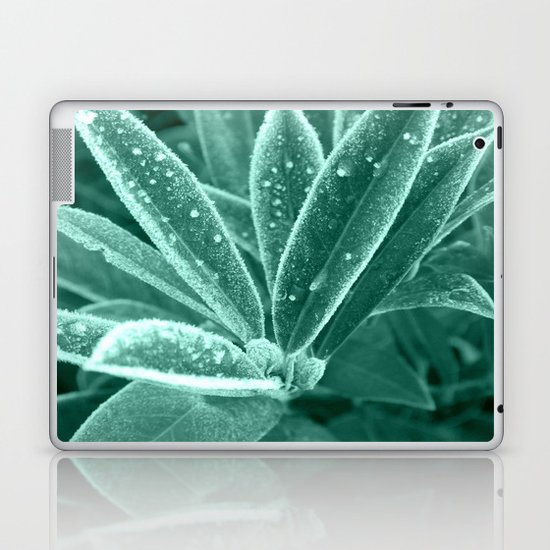 Frost Laptop & iPad Skin