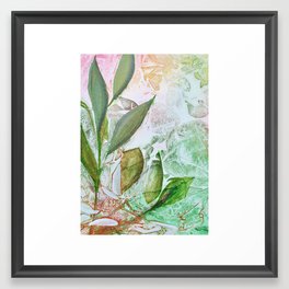 Botanical Print  Framed Art Print