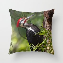 Pileated Woodpecker 6340 Throw Pillow