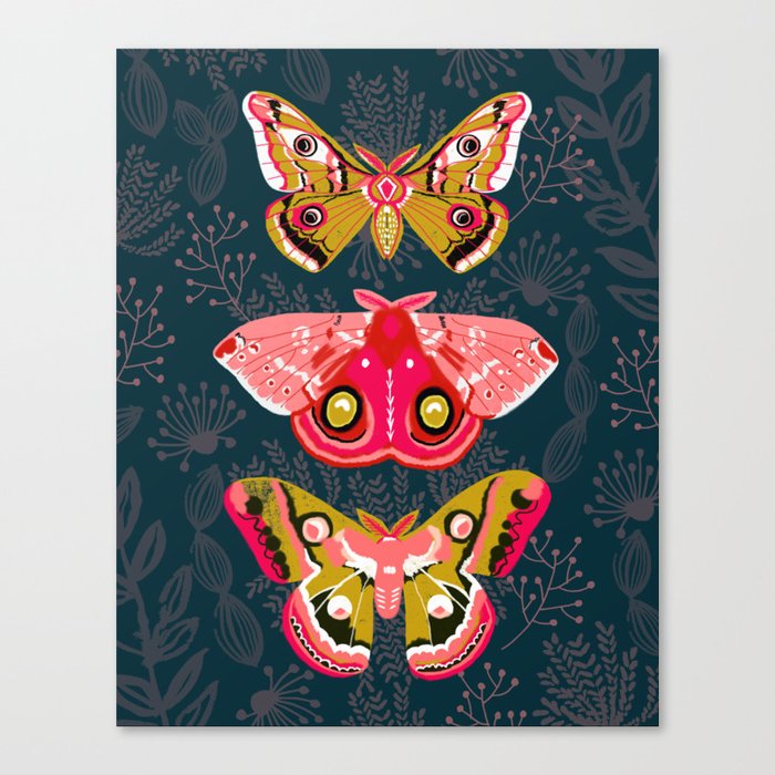 Lepidoptery No. 4 by Andrea Lauren Canvas Print