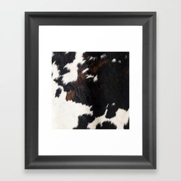 Cowhide Farmhouse Decor (photograph) Framed Art Print