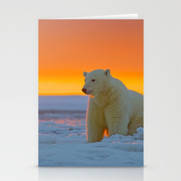 Sunset Polar Bear Stationery Cards