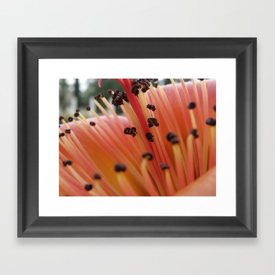 Red flower #1 Framed Art Print