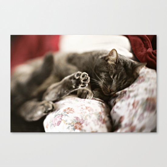 Pancho Canvas Print