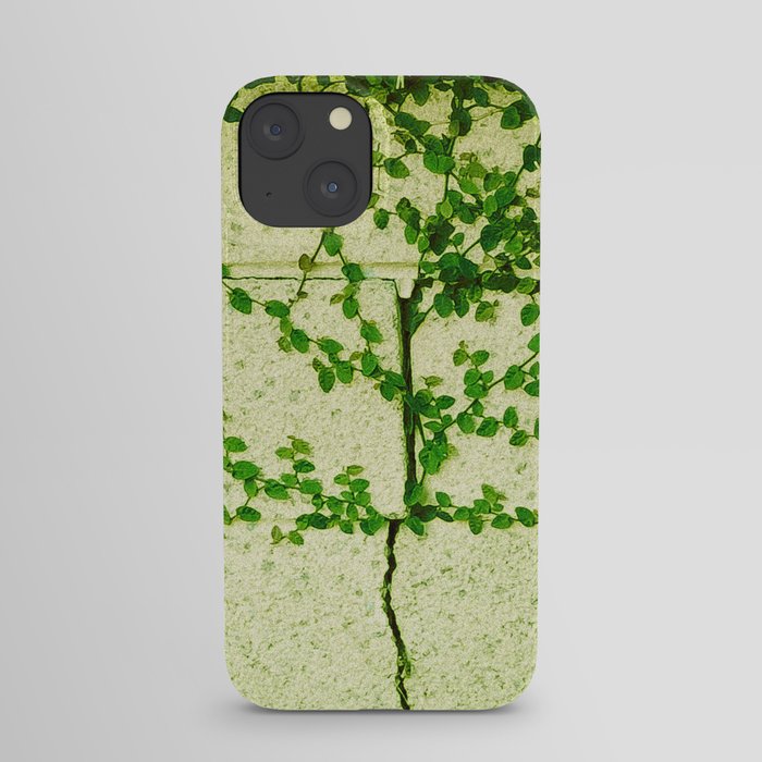 Ivy Wall iPhone Case