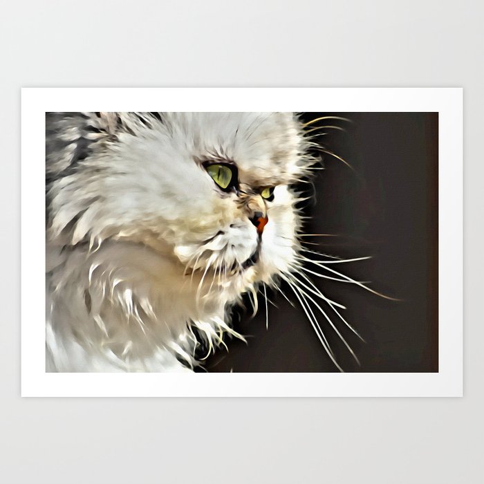 White Persian Cat Art Print