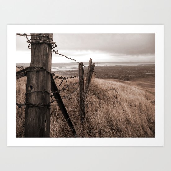 Worn fence Art Print