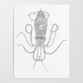 Spiral Squid Poster