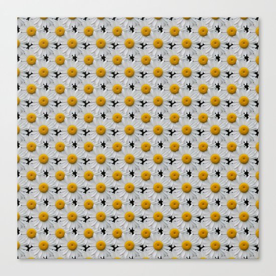 DAISY CHAINS Canvas Print