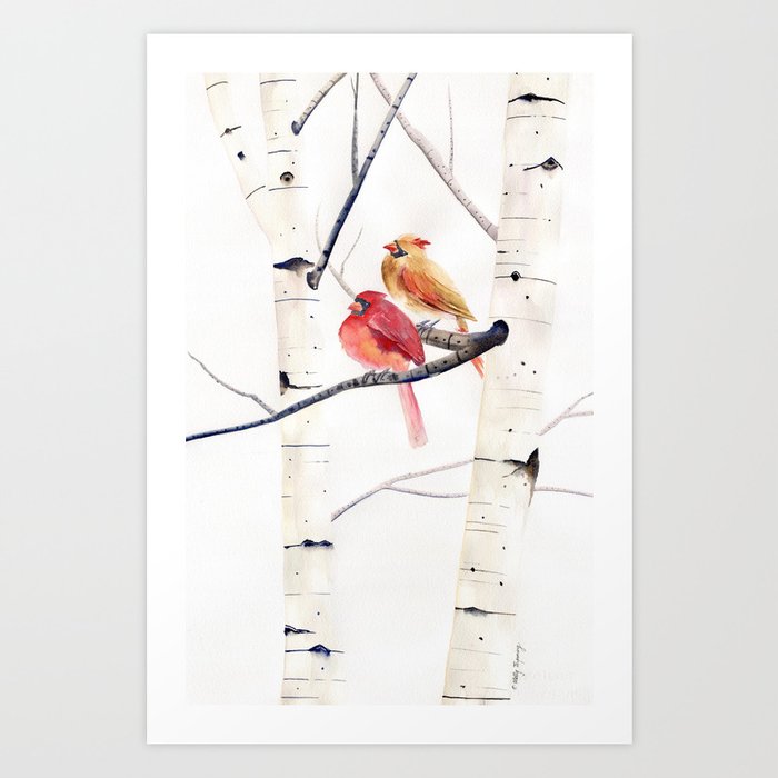 Cardinals and Birch Trees  Art Print