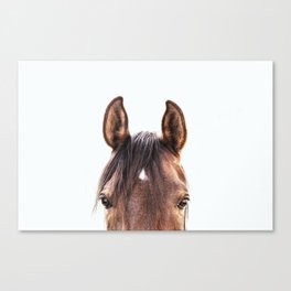 peekaboo horse, bw horse print, horse photo, equestrian, equestrian photo, equestrian decor Canvas Print