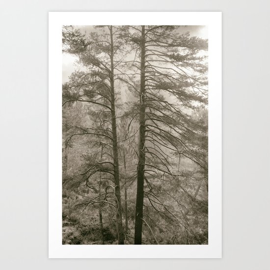 "Forest arms". Into the woods Art Print