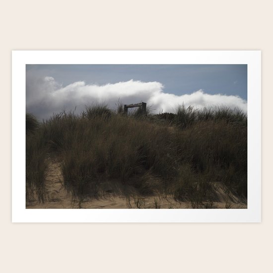 Fenced Art Print