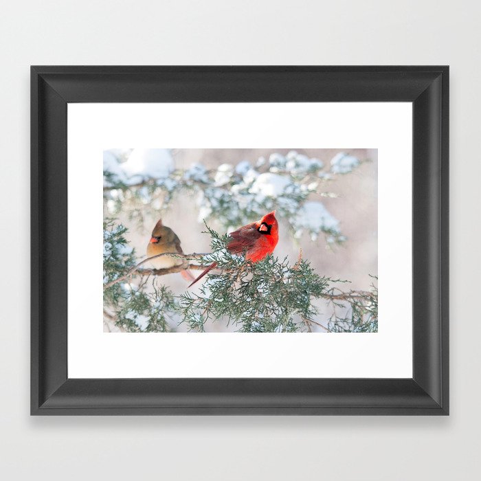 Remembering.... Northern Cardinals Framed Art Print