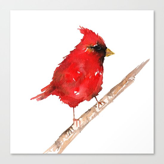 Red cardinal Canvas Print