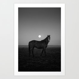 The Horse and the Moon Art Print