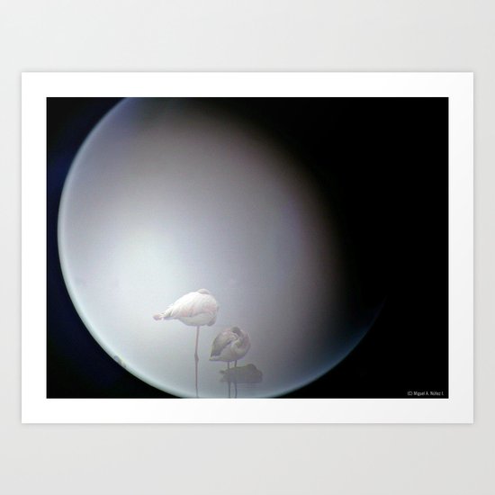 BIRDS OF LUNA Art Print
