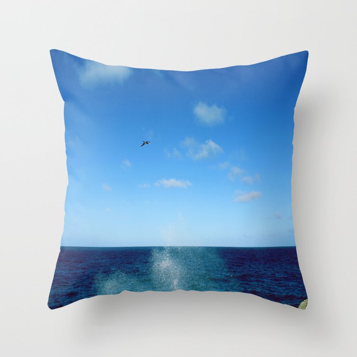 Seascape Throw Pillow