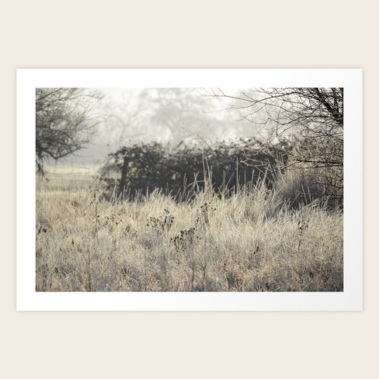Watching Art Print
