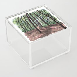 Deer in the Woods Acrylic Box