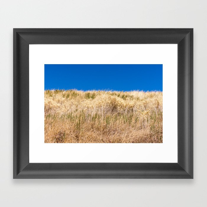 Dry grass meadow and blue sky Framed Art Print