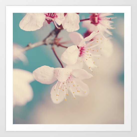 spring blossoms II Art Print